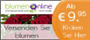 Blumen online